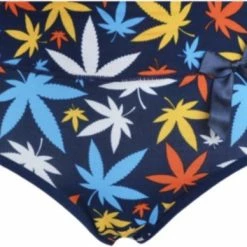 Coupon π Merkloos Dames Slips 5 Pack Met Blaadjes XL π₯ 10 Coupon π Merkloos Dames Slips 5 Pack Met Blaadjes XL π₯ -Goedkope badmode winkel 550x388 3