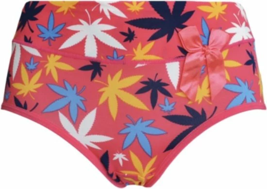 Coupon π Merkloos Dames Slips 5 Pack Met Blaadjes XL π₯ 4 Coupon π Merkloos Dames Slips 5 Pack Met Blaadjes XL π₯ - Afbeelding 2