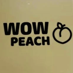 Beste deal ✔️ Wow Peach - High Waist Tummy Control Butt Lift String - Body Shaper - Waist Support - Corrigerend Ondergoed - Afslank - High Waist - Buttlift - Zwart - X-Large ⭐ -Goedkope badmode winkel 550x542 2